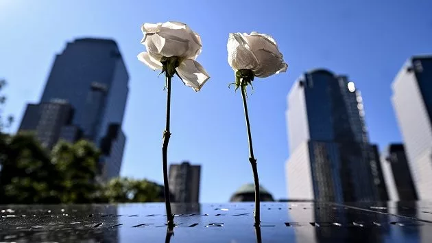 g_wtc_043025430855