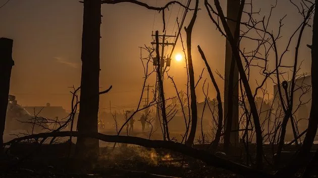 g_njwildfire_050225642006