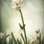6813fd1c22055-image_