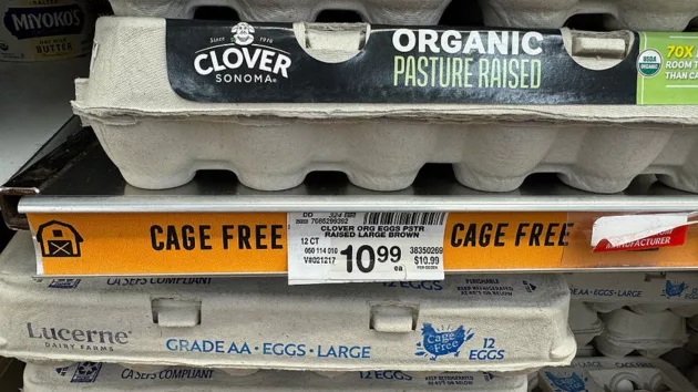 untitled20design2028629588443