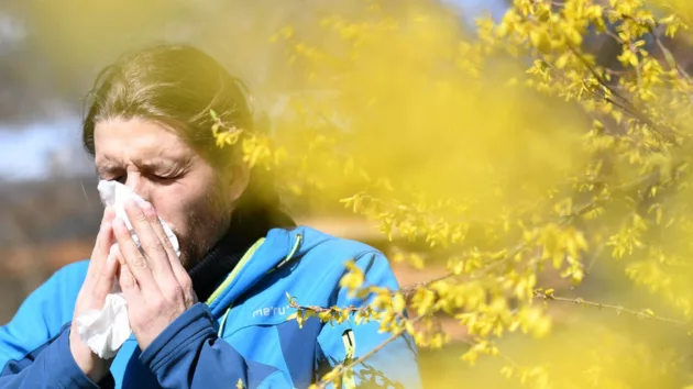 untitled20design20282129412416