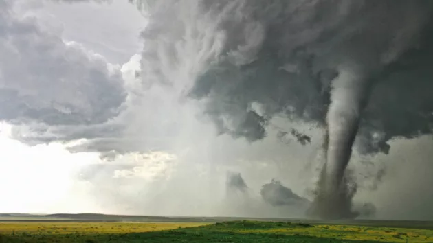 untitled20design2028129198495