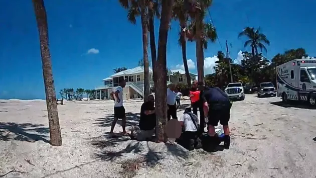 news_sharkattack_61225700060