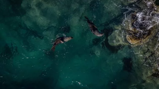 getty_ocean-3-gty-er-250618_1750278870618_hpembed_18x11186092