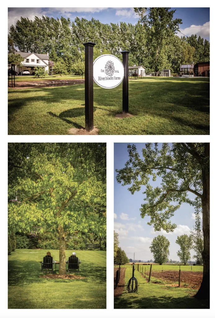 686c00c9adfb7-image_