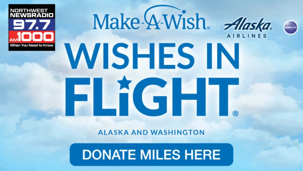 Wishes in Flight