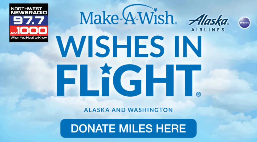 Wishes in Flight