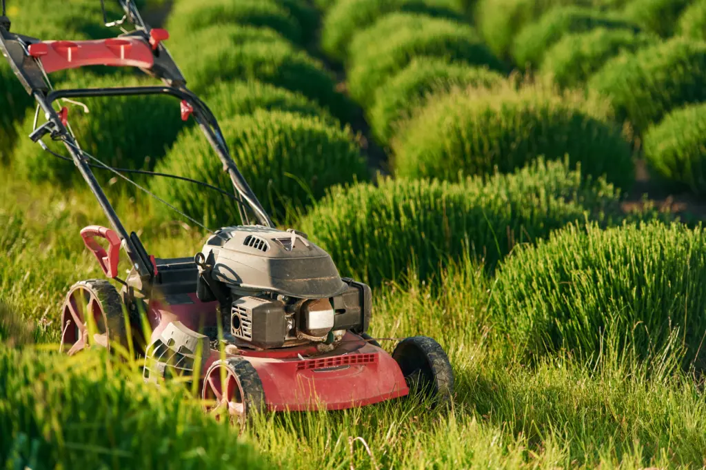 lawn-mower-on-the-green-field