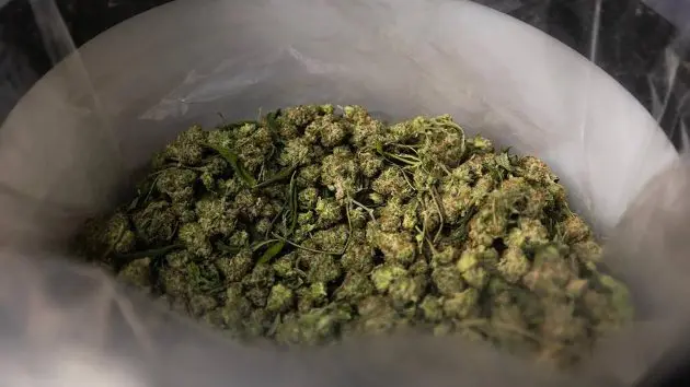 getty_marijuana-gty-er-250811_1754934083381_hpmain952367