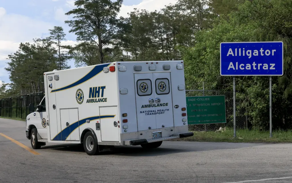 getty-alligator20alcatraz519958