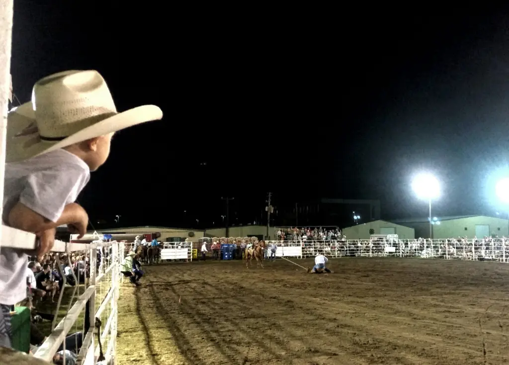 little-cowboy-watching-rodeo-in-his-future-with-bi-2025-02-15-17-28-34-utc