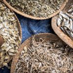 Dried Fish, Soccer Head Injuries, and Why We Love Fall: What Science Says Dried Fish, Soccer Head Injuries, and Why We Love Fall: What Science Says