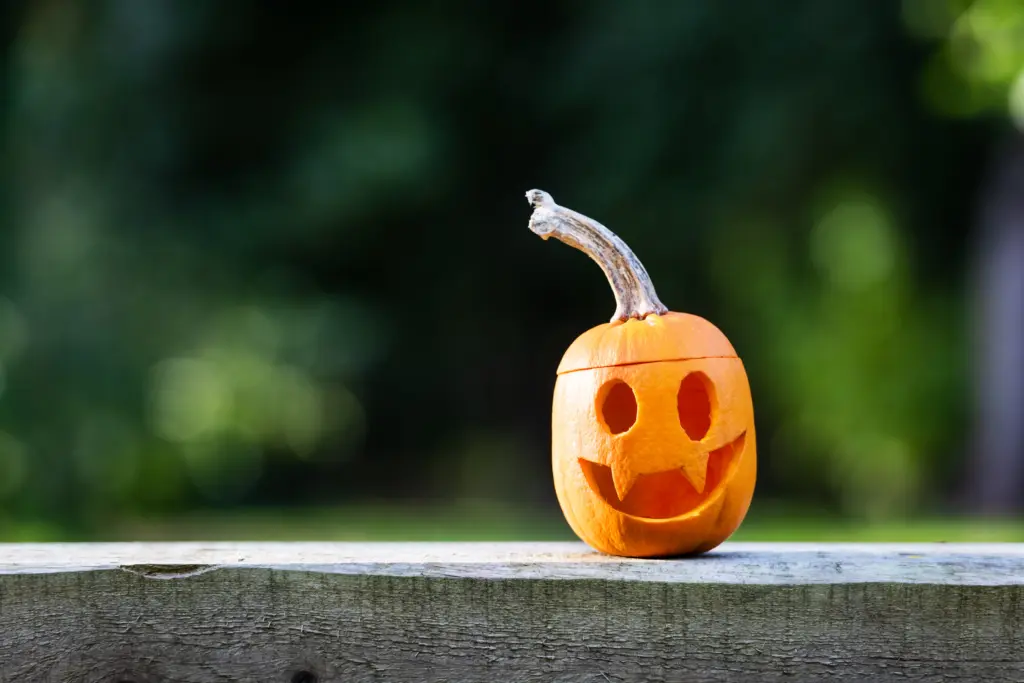 halloween-carving-concept
