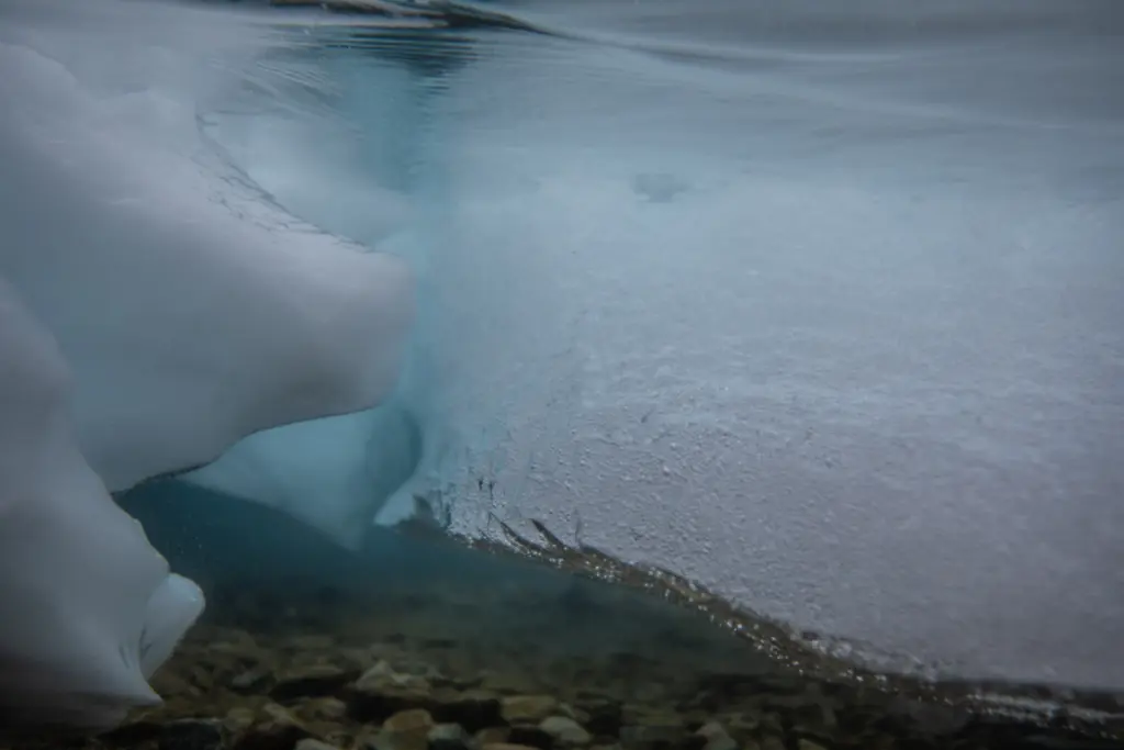 gettyimages-2201442177475170