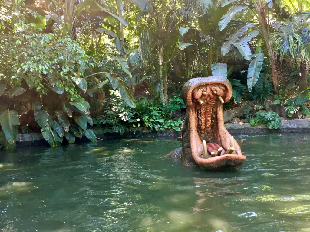 big-open-mouth-hippo-in-the-river-2025-03-09-03-34-46-utc