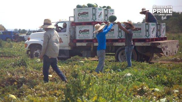 n_idaho-farm-1-abc-gmh-251015_1760536607430_hpmain_16x9333032