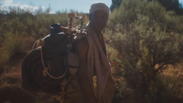 e_thewilderness_102725735534