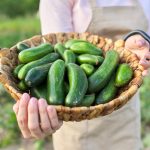 Health Highlights: Caring, Awareness, and Nutrition Health Highlights: Caring, Awareness, and Nutrition