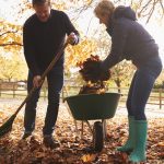 Healthy Living Tips for Everyday Life