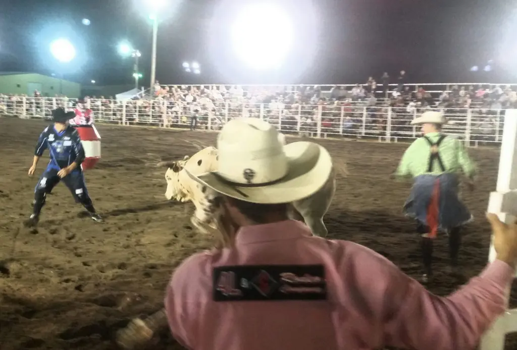 cowboy-on-horse-waiting-to-rescue-rodeo-performers-2025-02-15-17-30-38-utc-1