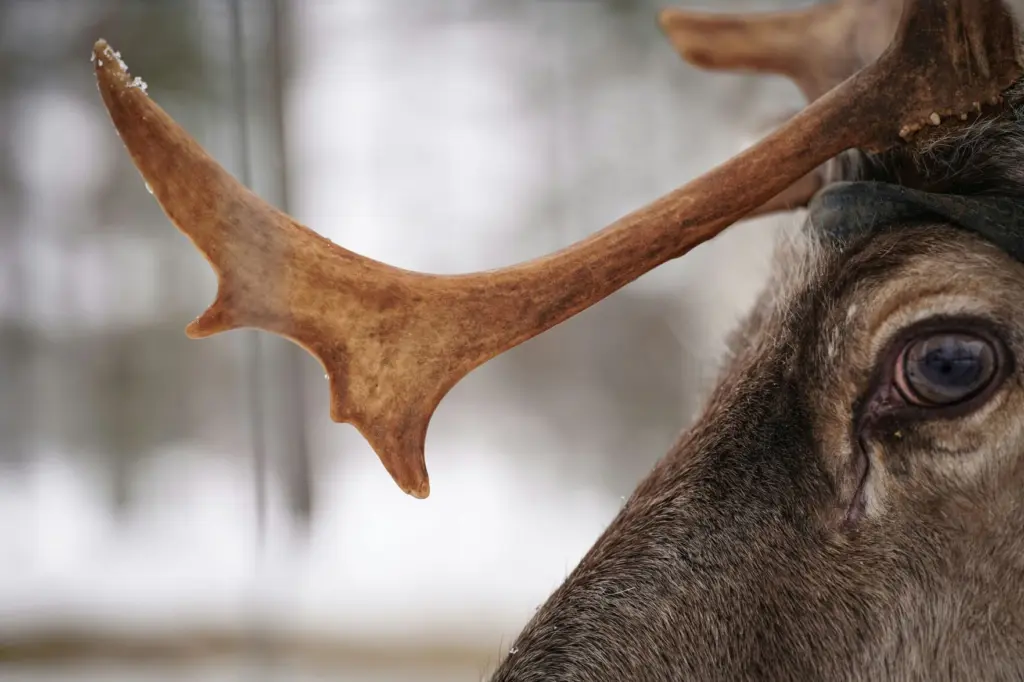 6939cda220f16-image_