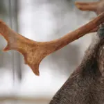 6939cda220f16-image_