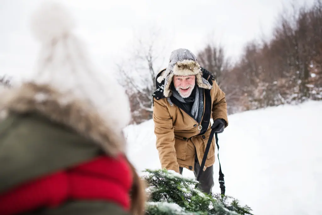 grandfather-and-small-girl-getting-a-christmas-tree-in-forest