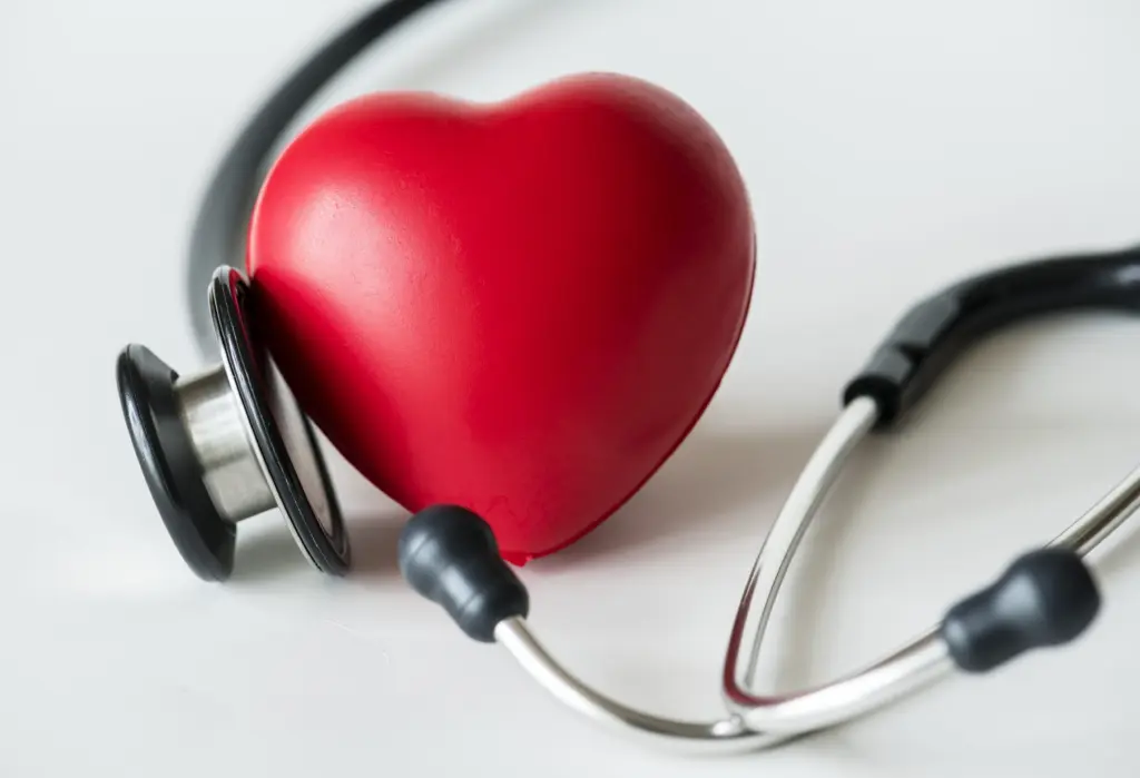 closeup-of-heart-and-a-stethoscope-cardiovascular-checkup-concept