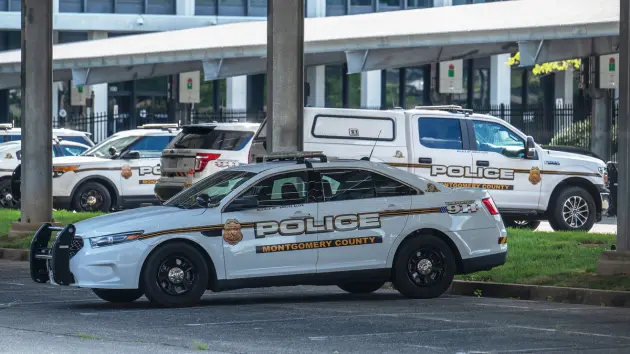 untitled20design20282329235047