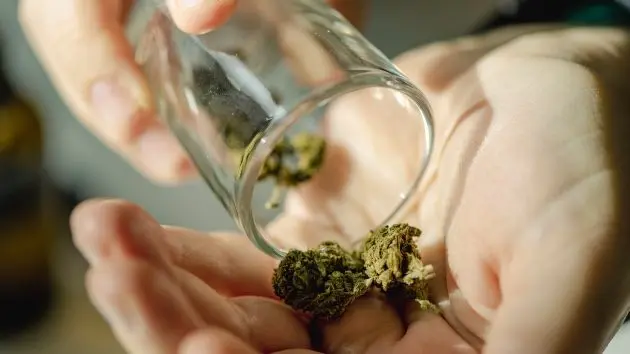 gettyrf_marijuana_042326476974