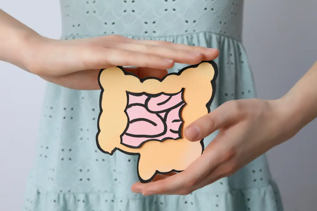 concept-of-health-care-and-internal-organs-intestines