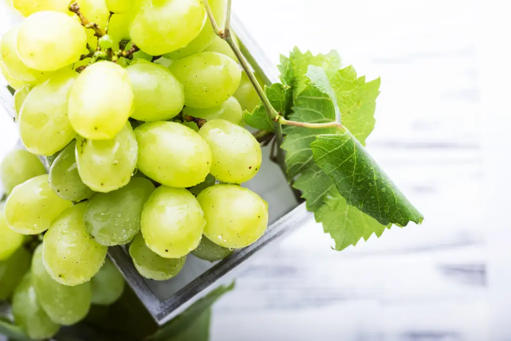 grapes