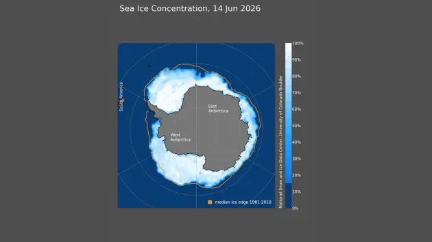 news_seaiceconcertration_61626932033
