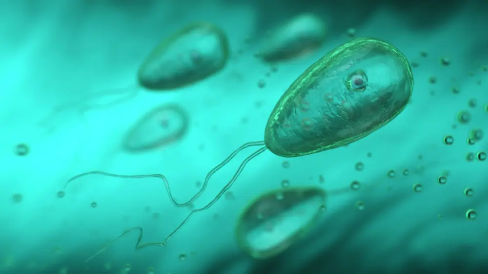 getty_braineatingamoeba_090126968075
