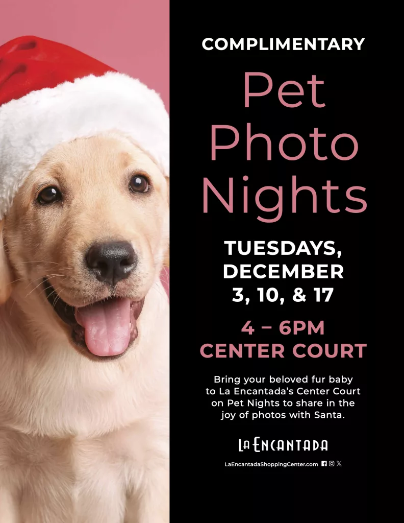 Pet Photo Night - La Encantada