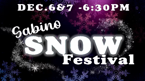 Snow Fest