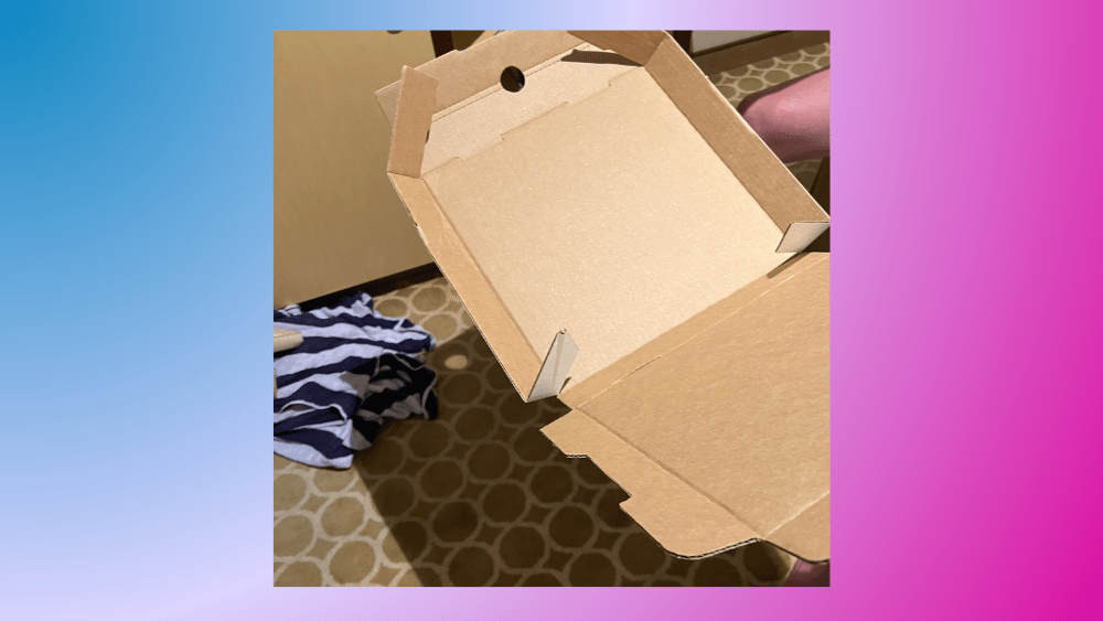 Image of an empty pizza box.