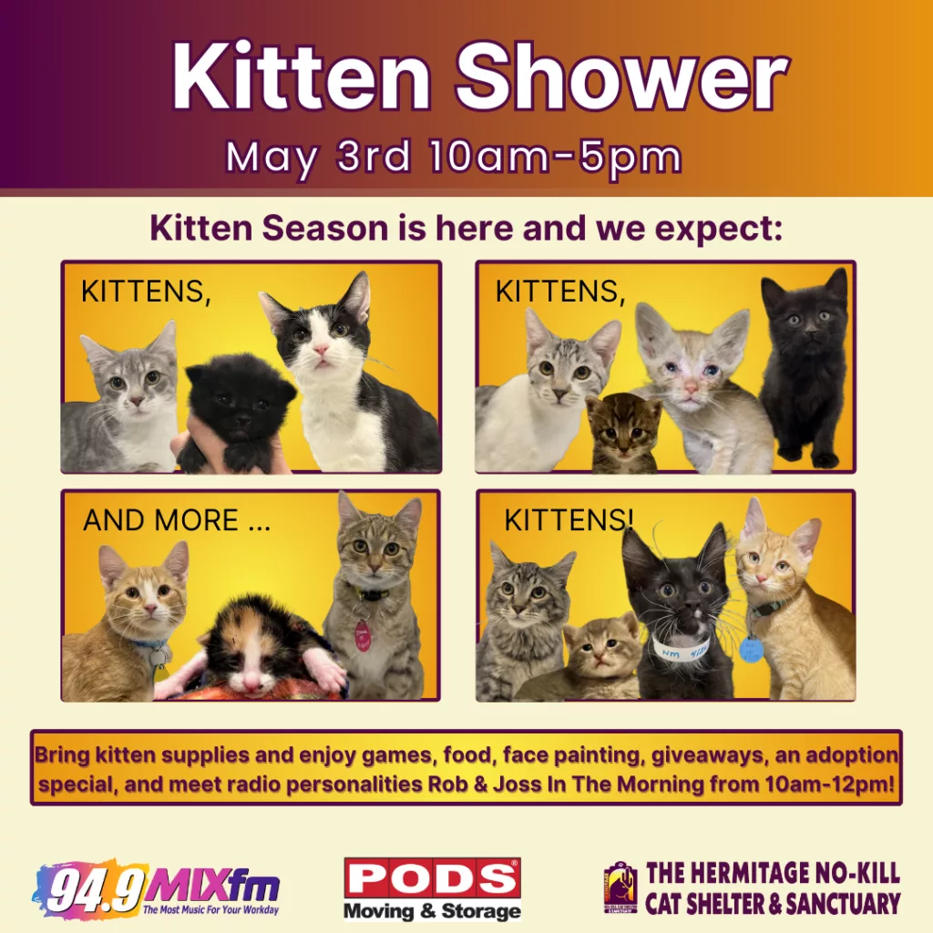 kitty shower
