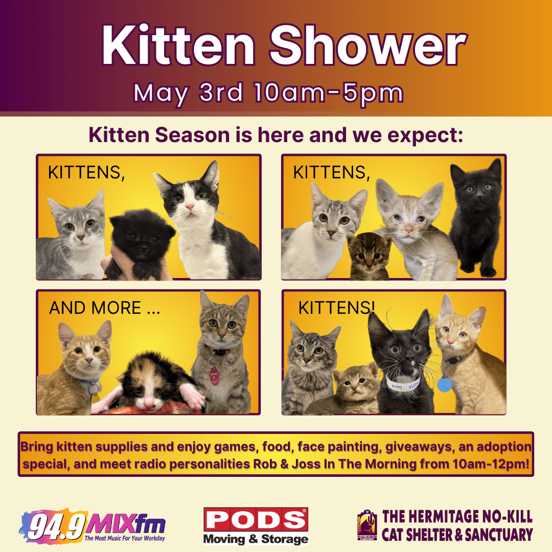 kitty shower