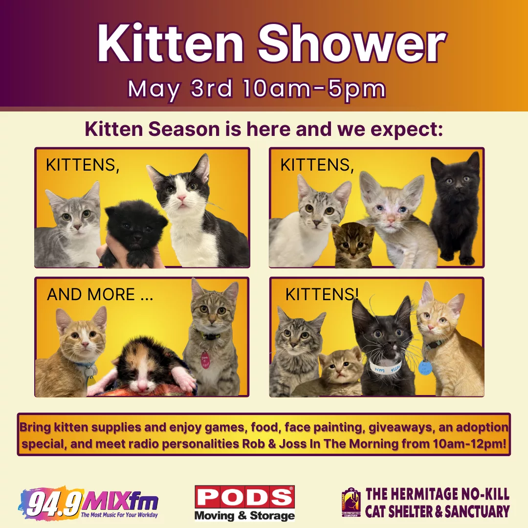 kitty shower