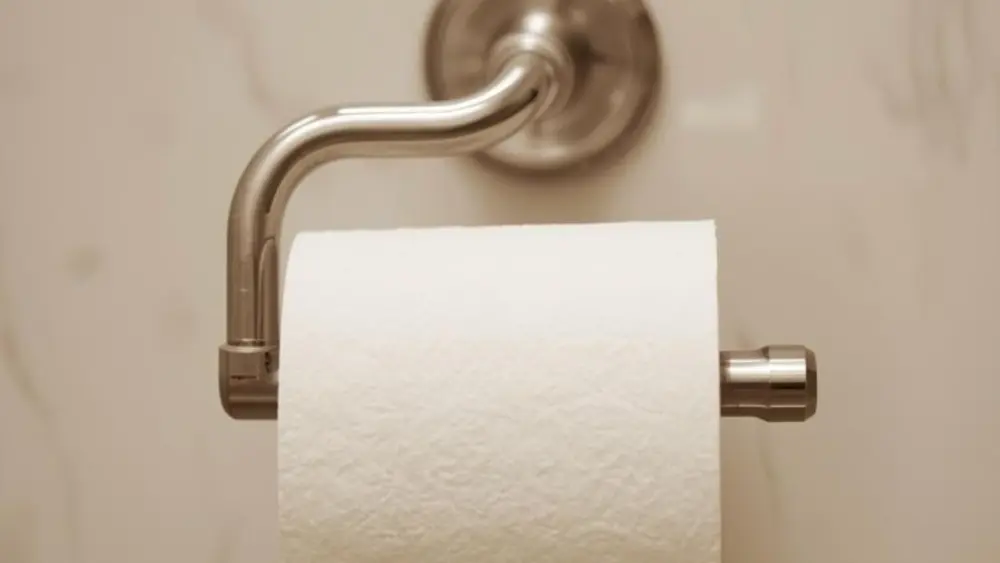 Toilet paper on a toilet paper holder.