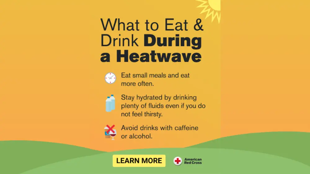 Graphic titled “What to Eat & Drink During a Heatwave” with a sun icon in the top right corner. It includes three safety tips: Eat small meals and eat more often (with a clock icon). Stay hydrated by drinking plenty of fluids even if you do not feel thirsty (with water bottles icon). Avoid drinks with caffeine or alcohol (with crossed-out coffee and wine icons). At the bottom is a yellow "LEARN MORE" button and the American Red Cross logo. Background is a gradient of orange and yellow with green hills.