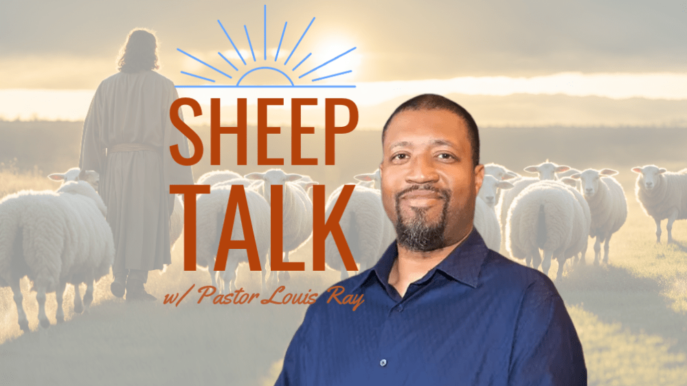 sheep-talk