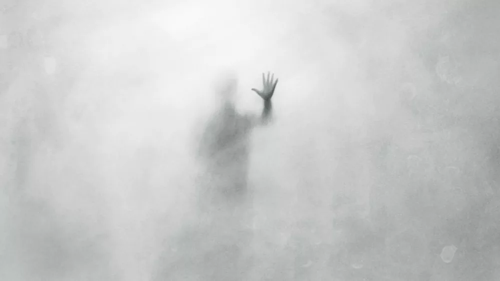 33282-untitled-design-66_source_file446783