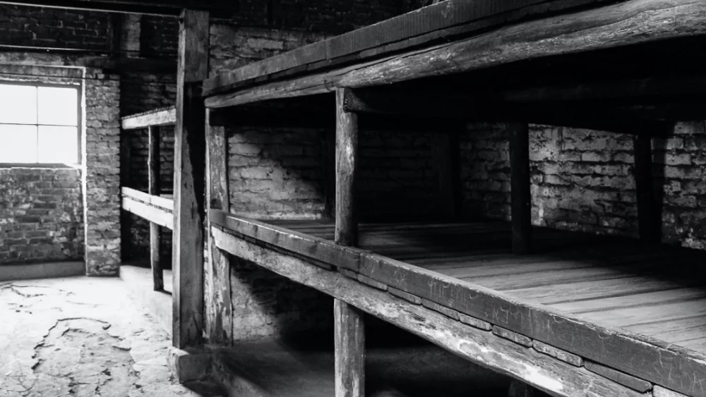 15054-birkenau-bunkers-gettyimages-stefaan-maes802378