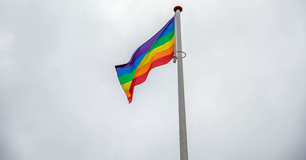 31425-lgbt-pride-flag-gettyimages-robert-vt-hoender_source_file363011