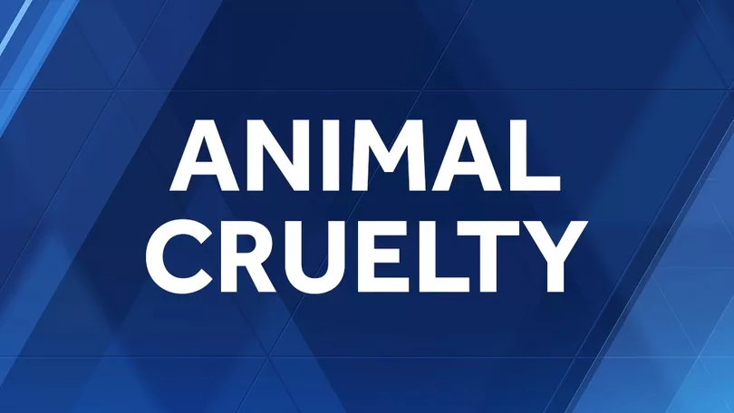 animal-cruelty-3