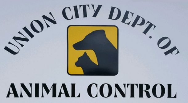 animal-control