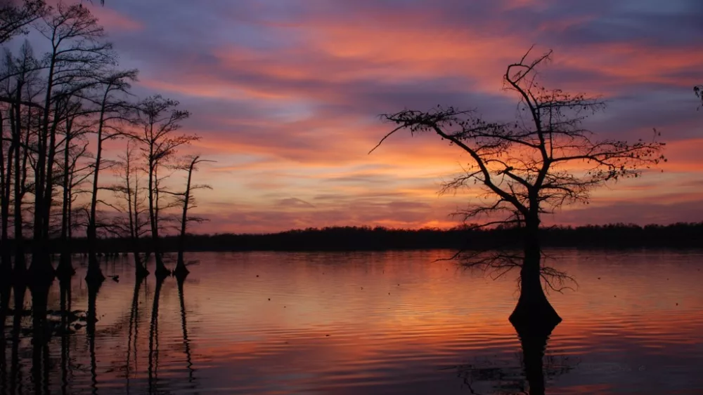 reelfoot-lake-4