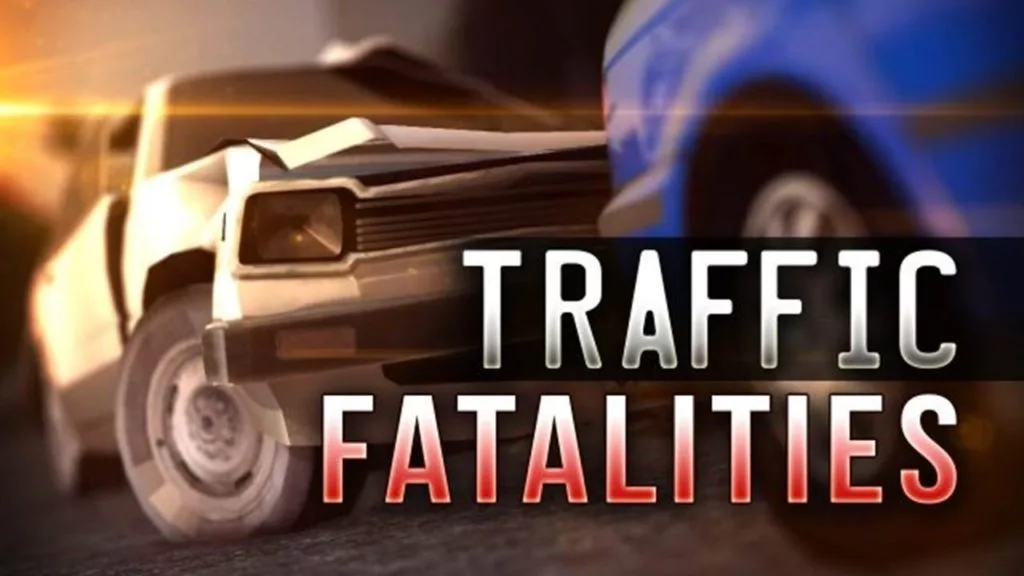 traffic-fatalities-3